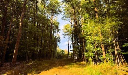 Photo #4 of Thayer, Trinity, NC 22.1 acres