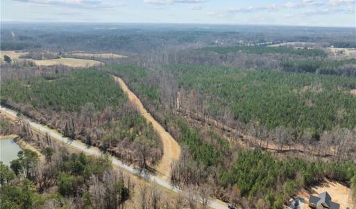 Natural Hardwoods and pines