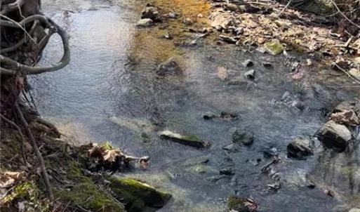 Beautiful Flowing Creek