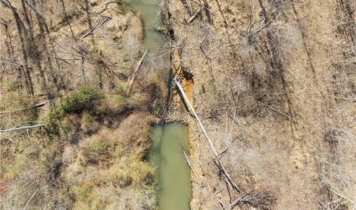 Photo #8 of 2636 Minden, Pleasant Garden, NC 29.8 acres