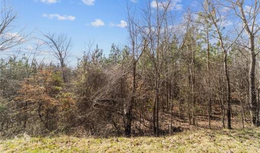 Photo #14 of 2636 Minden, Pleasant Garden, NC 29.8 acres