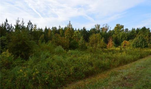 Photo #13 of 1077 Smothers, Madison, NC 25.5 acres