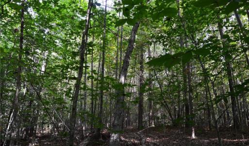 Photo #43 of 1077 Smothers, Madison, NC 25.5 acres
