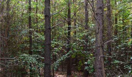 Photo #36 of 1077 Smothers, Madison, NC 25.5 acres