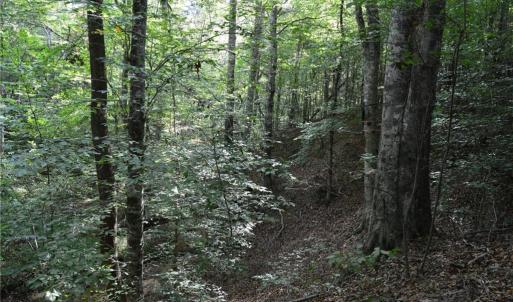 Photo #38 of 1077 Smothers, Madison, NC 25.5 acres
