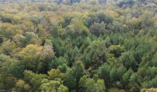 Photo #10 of 1077 Smothers, Madison, NC 25.5 acres