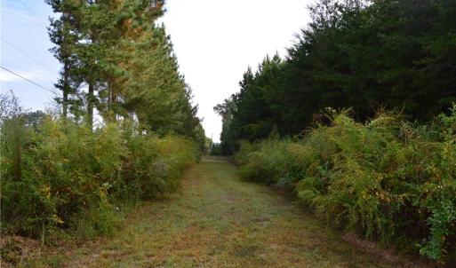 Photo #14 of 1077 Smothers, Madison, NC 25.5 acres