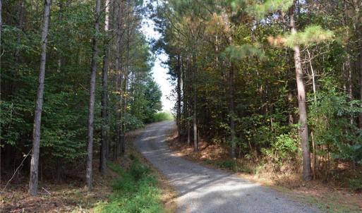 Photo #18 of 1077 Smothers, Madison, NC 25.5 acres