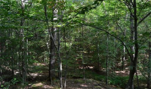Photo #37 of 1077 Smothers, Madison, NC 25.5 acres