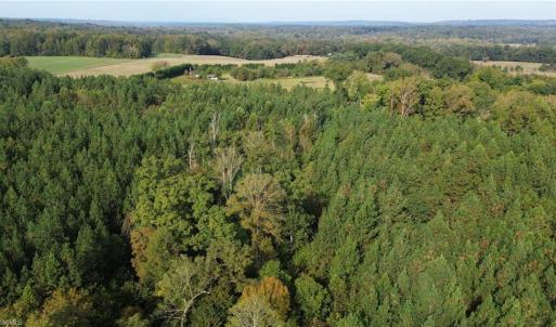 Photo #11 of 1077 Smothers, Madison, NC 25.5 acres
