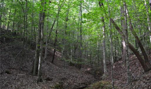Photo #39 of 1077 Smothers, Madison, NC 25.5 acres