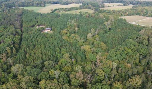 Photo #4 of 1077 Smothers, Madison, NC 25.5 acres