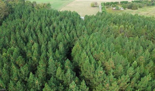 Photo #8 of 1077 Smothers, Madison, NC 25.5 acres