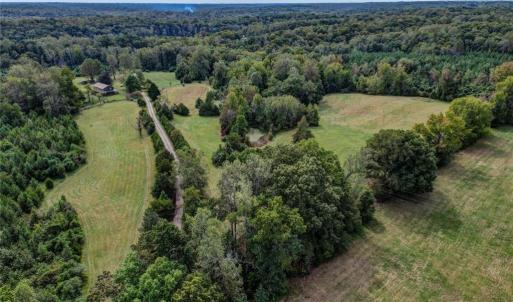 Photo #5 of Spice, Reidsville, NC 13.5 acres