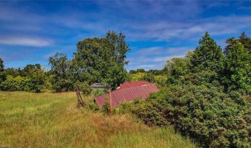 Photo #6 of 2094 Ashland, Ruffin, NC 29.5 acres