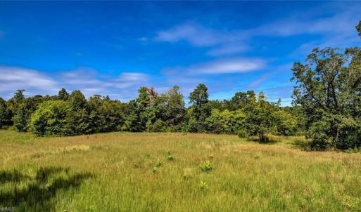 Photo #17 of 2094 Ashland, Ruffin, NC 29.5 acres