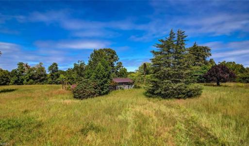 Photo #16 of 2094 Ashland, Ruffin, NC 29.5 acres