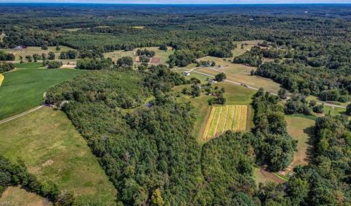 Photo #22 of 2094 Ashland, Ruffin, NC 29.5 acres