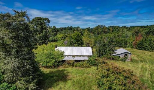 Photo #3 of 2094 Ashland, Ruffin, NC 29.5 acres