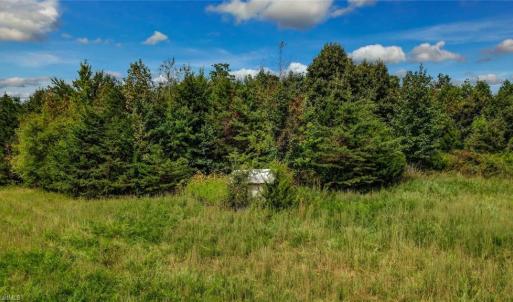 Photo #20 of 2094 Ashland, Ruffin, NC 29.5 acres