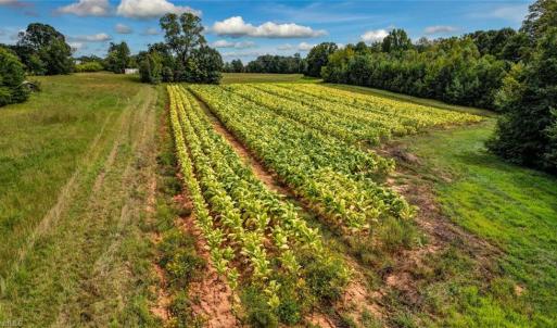 Photo #14 of 2094 Ashland, Ruffin, NC 29.5 acres