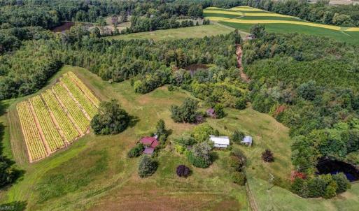 Photo #11 of 2094 Ashland, Ruffin, NC 29.5 acres