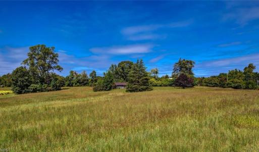 Photo #19 of 2094 Ashland, Ruffin, NC 29.5 acres