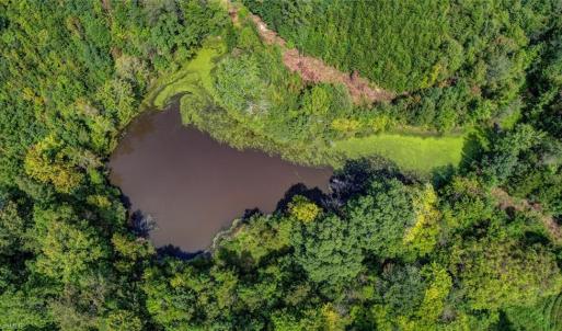 Photo #8 of 2094 Ashland, Ruffin, NC 29.5 acres