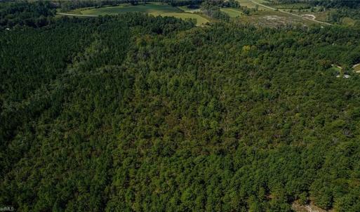 Photo #6 of 120 Lindsey, Eagle Springs, NC 24.8 acres