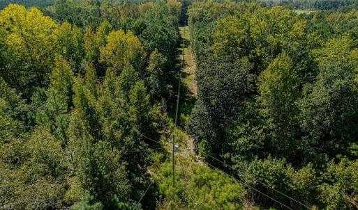 Photo #12 of 120 Lindsey, Eagle Springs, NC 24.8 acres