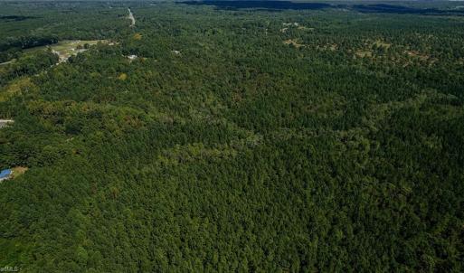 Photo #5 of 120 Lindsey, Eagle Springs, NC 24.8 acres