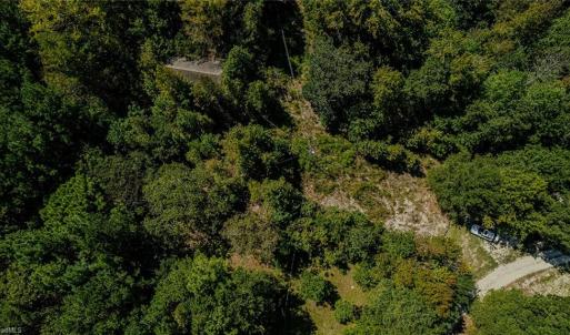 Photo #8 of 120 Lindsey, Eagle Springs, NC 24.8 acres