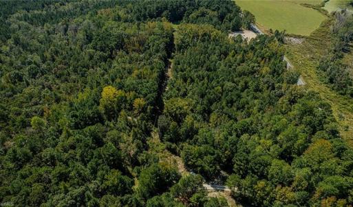 Photo #2 of 120 Lindsey, Eagle Springs, NC 24.8 acres