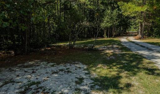 Photo #10 of 120 Lindsey, Eagle Springs, NC 24.8 acres