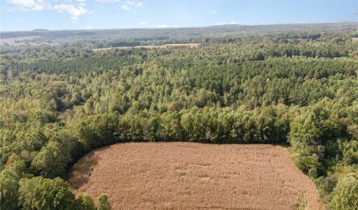 Photo #2 of Carl Allred, Franklinville, NC 23.4 acres