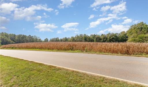 Photo #3 of Carl Allred, Franklinville, NC 23.4 acres