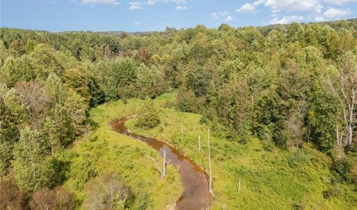 Photo #5 of Carl Allred, Franklinville, NC 23.4 acres