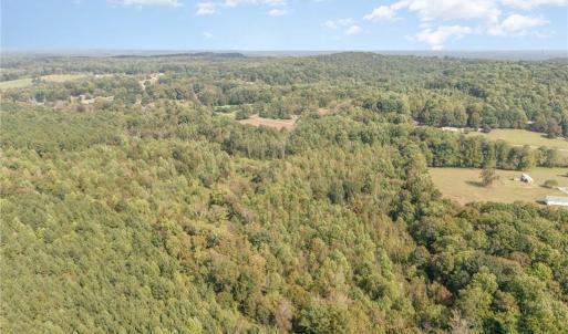 Photo #9 of Carl Allred, Franklinville, NC 23.4 acres