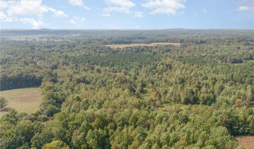 Photo #8 of Carl Allred, Franklinville, NC 23.4 acres