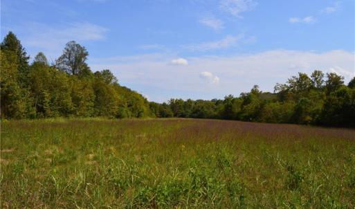 Photo #27 of NC Highway 14, Eden, NC 31.7 acres