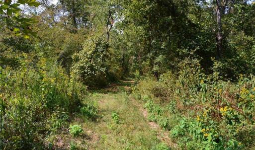 Photo #20 of NC Highway 14, Eden, NC 31.7 acres