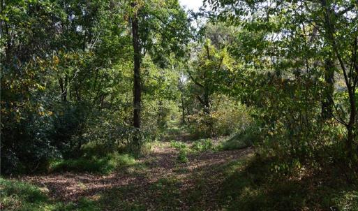 Photo #18 of NC Highway 14, Eden, NC 31.7 acres