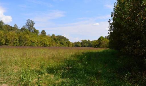 Photo #25 of NC Highway 14, Eden, NC 31.7 acres