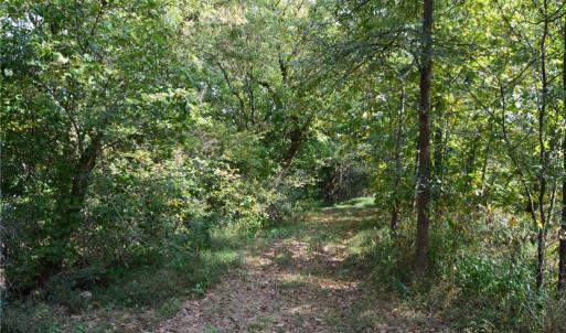 Photo #21 of NC Highway 14, Eden, NC 31.7 acres