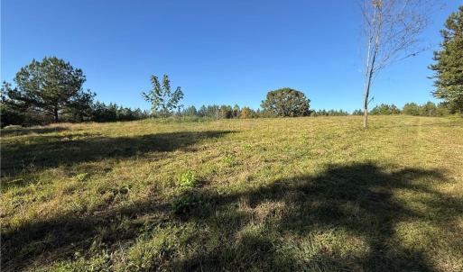 Photo #7 of Lot 11 Park Springs, Providence, NC 16.9 acres