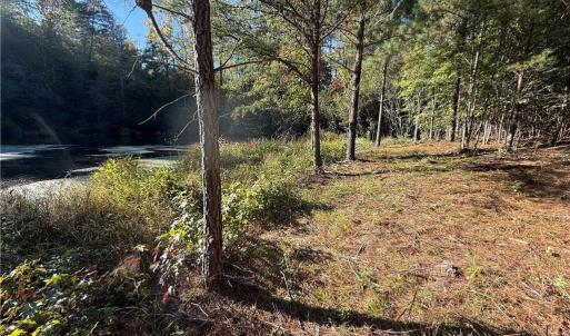 Photo #9 of Lot 11 Park Springs, Providence, NC 16.9 acres