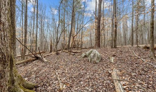 Photo #16 of 8729 A Allison, Cedar Grove, NC 12.7 acres
