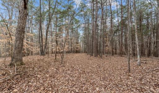 Photo #13 of 8729 A Allison, Cedar Grove, NC 12.7 acres