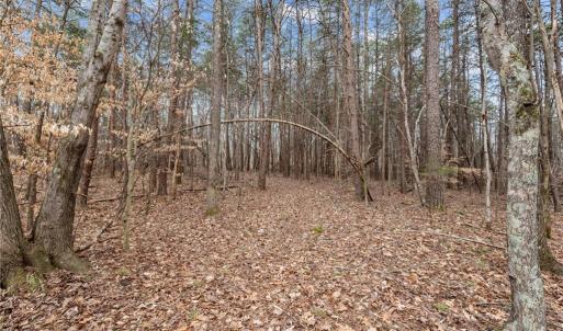 Photo #12 of 8729 A Allison, Cedar Grove, NC 12.7 acres