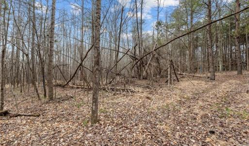 Photo #14 of 8729 A Allison, Cedar Grove, NC 12.7 acres